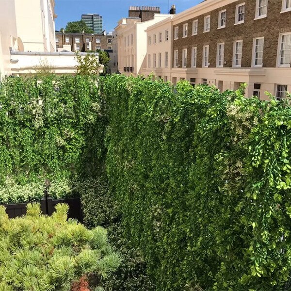 AGL Vistafolia Texture Boxes